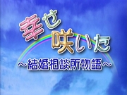 Saita.jpg