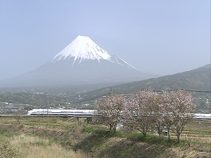映像ライブラリー